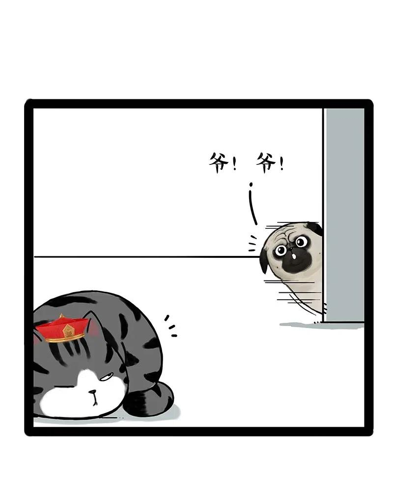 44.jpg