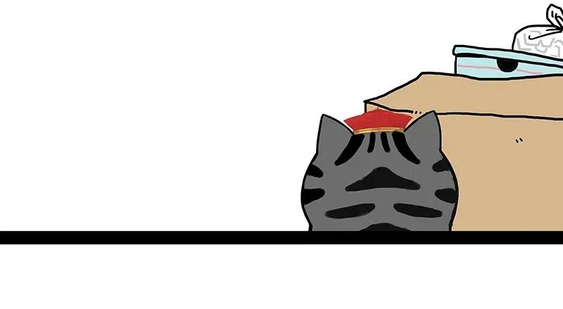 72.jpg