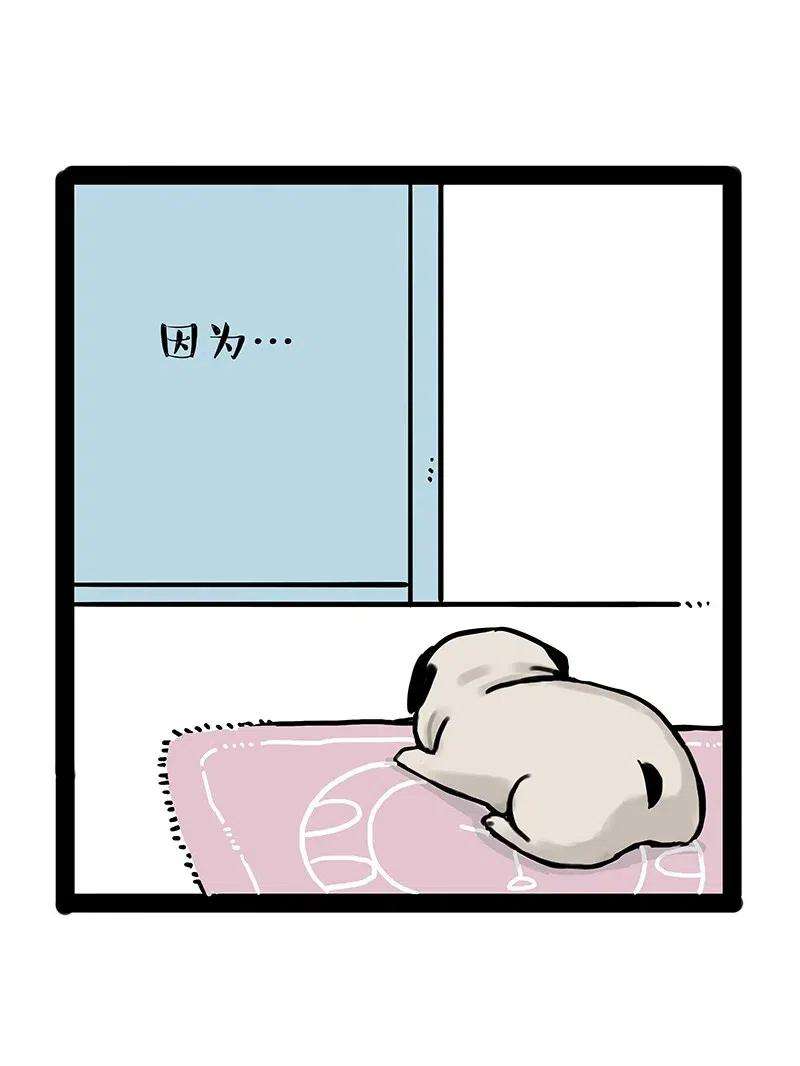 78.jpg