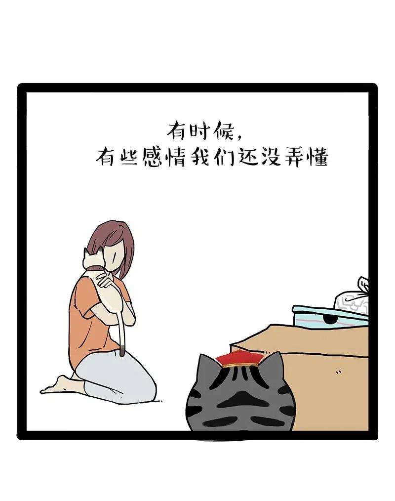 74.jpg