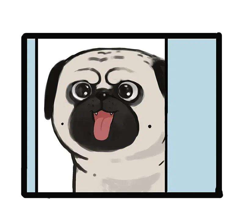 80.jpg