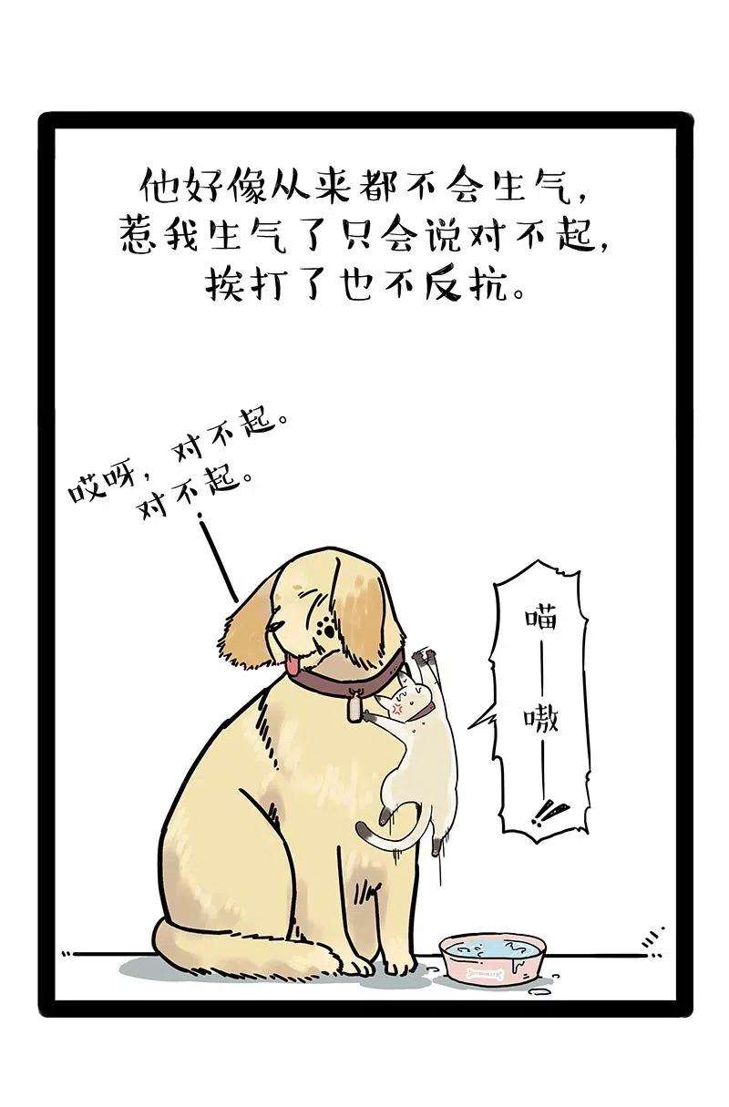 35.jpg