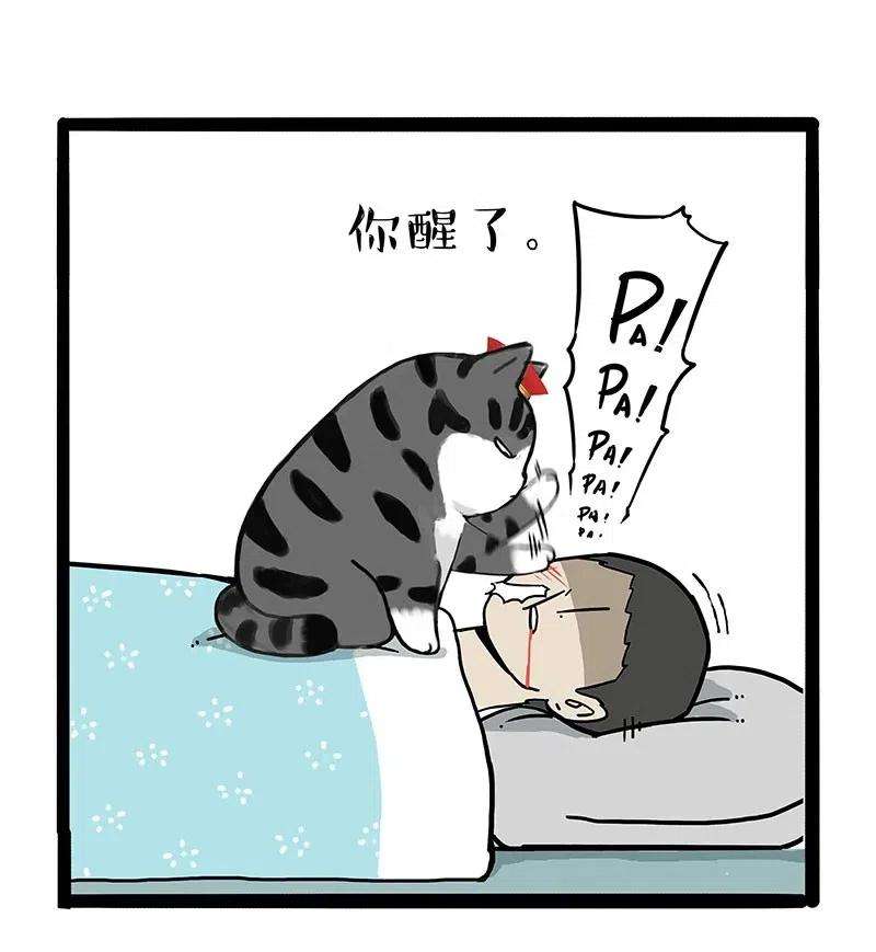 29.jpg