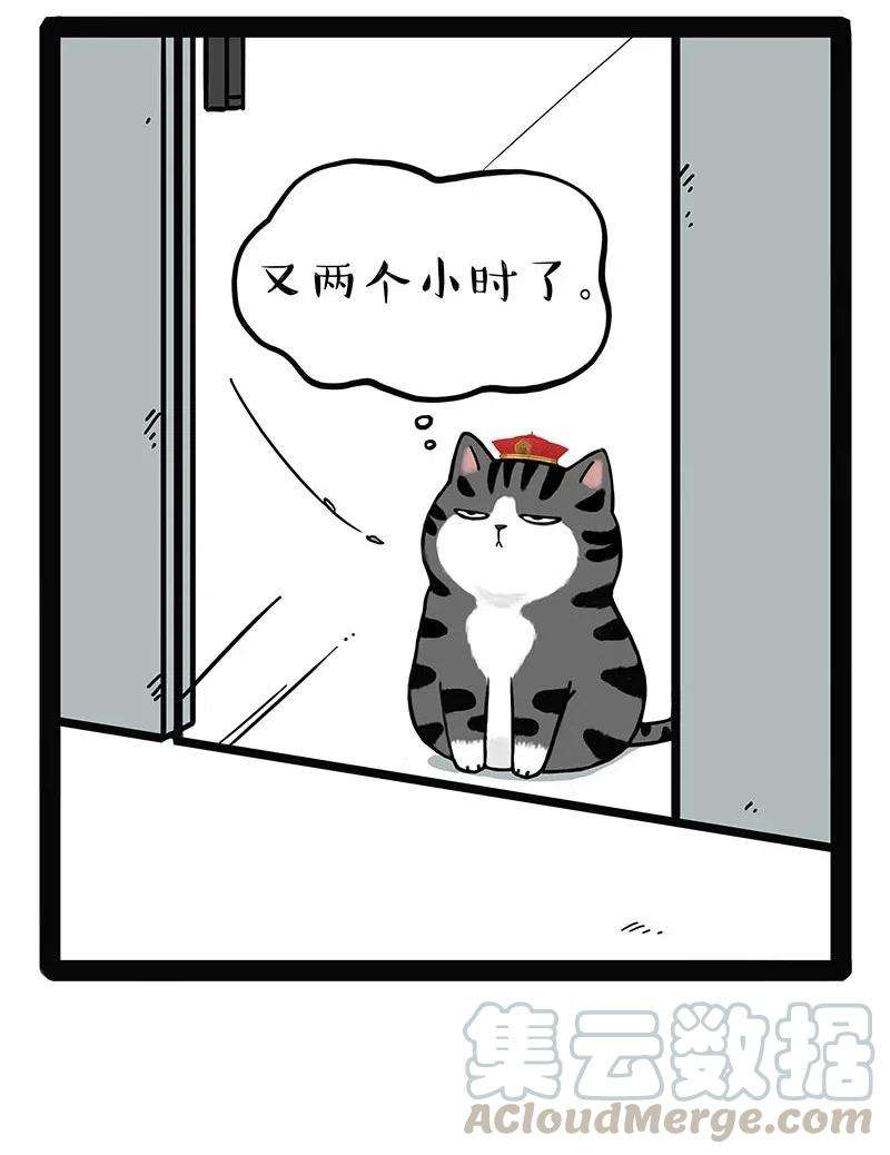 27.jpg