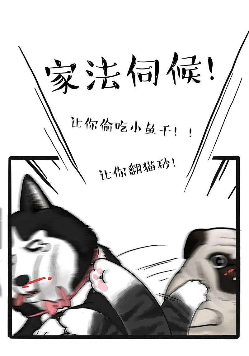 54.jpg