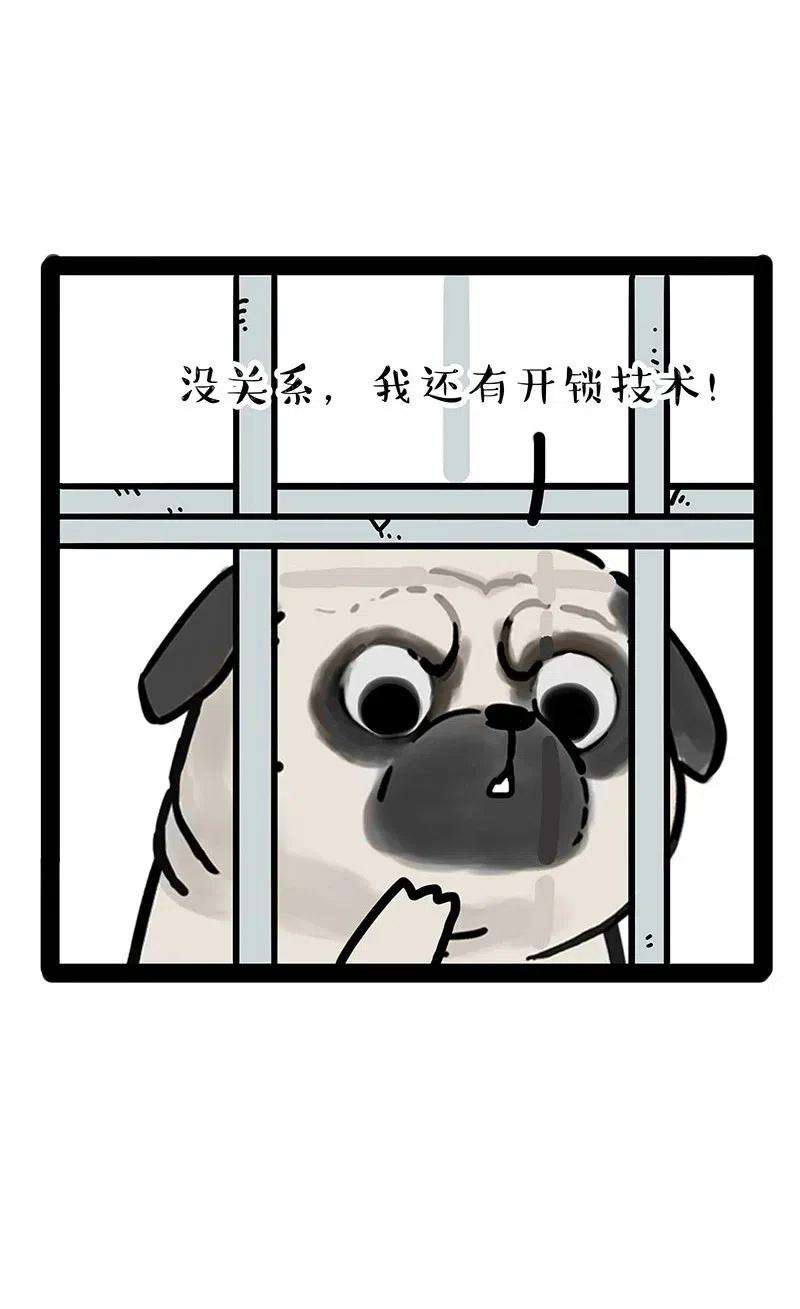 41.jpg
