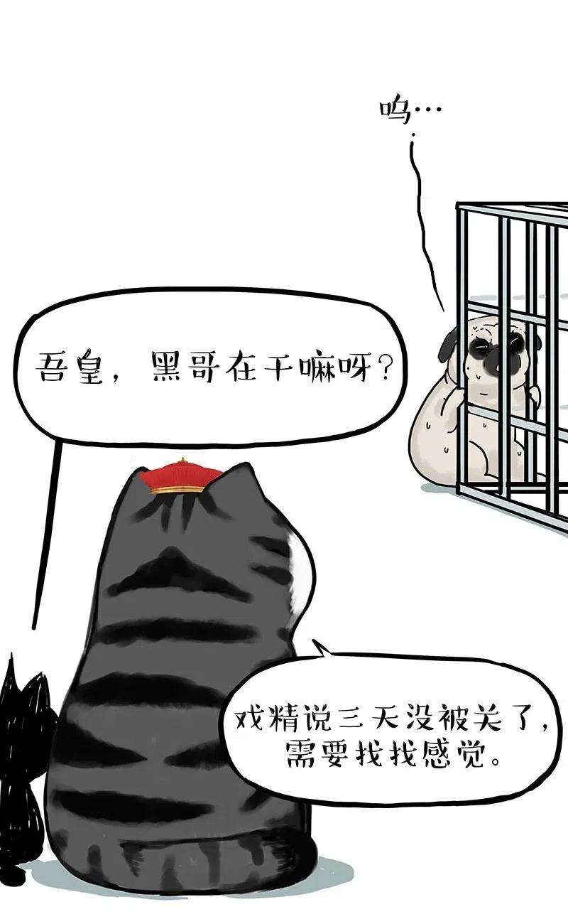 68.jpg