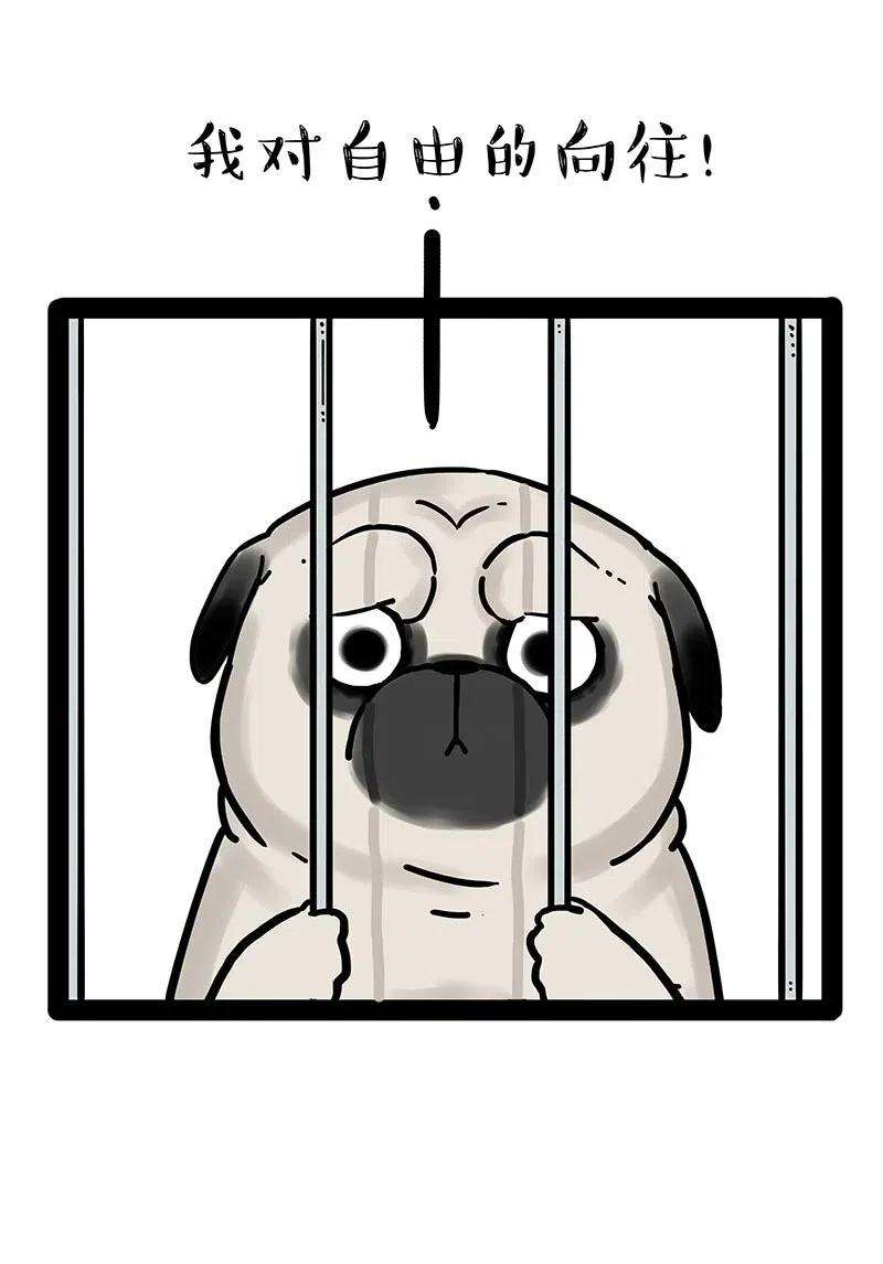 66.jpg