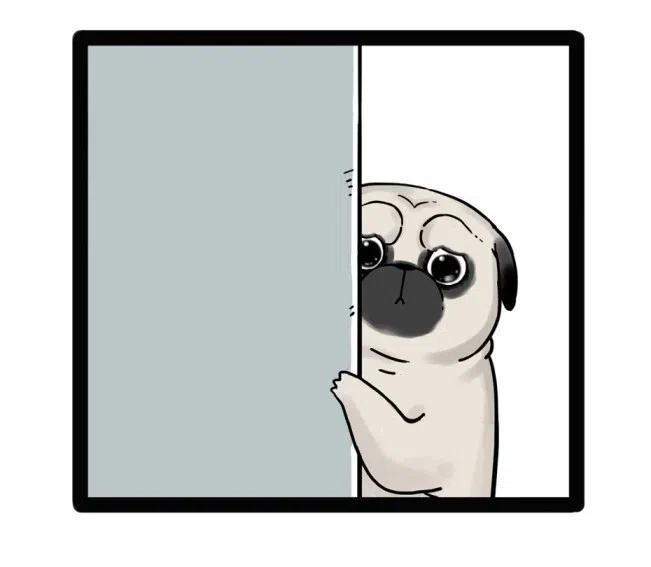 59.jpg