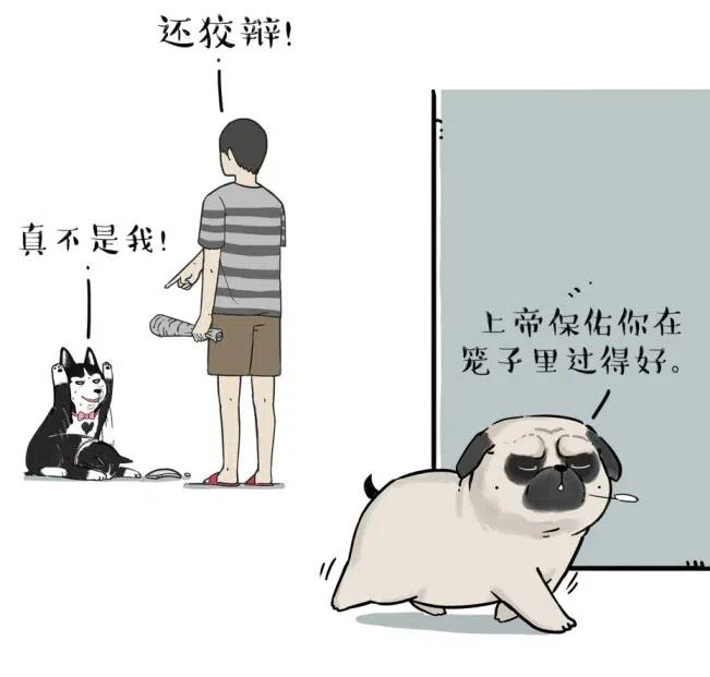 63.jpg