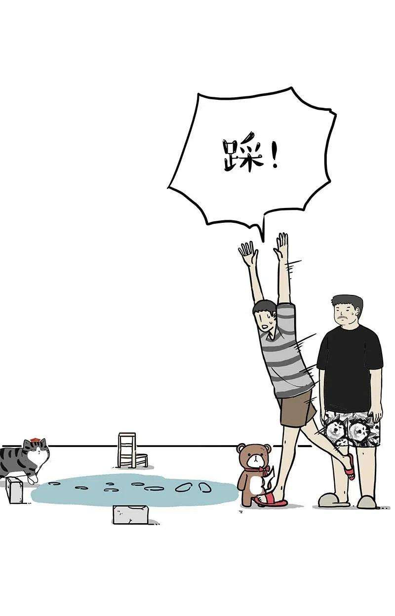 15.jpg