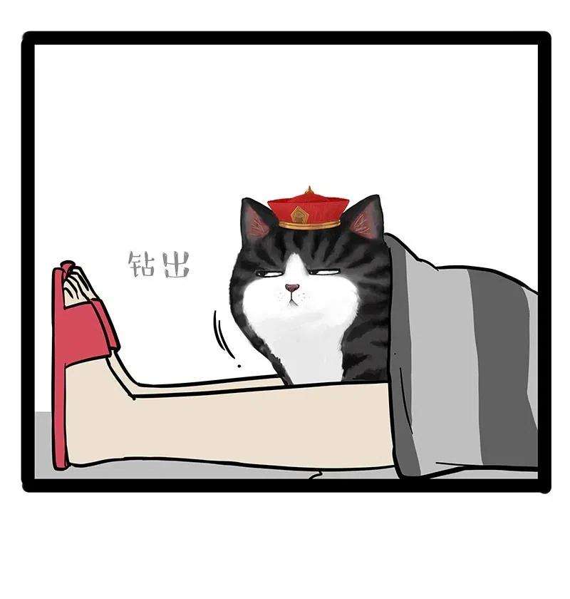 41.jpg