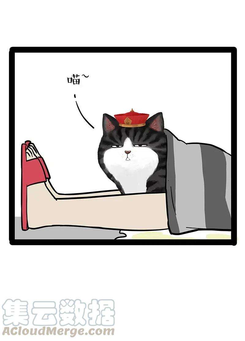 43.jpg