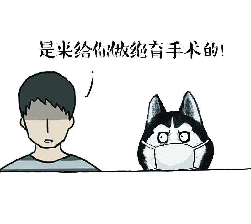 63.jpg