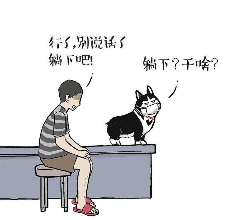 54.jpg