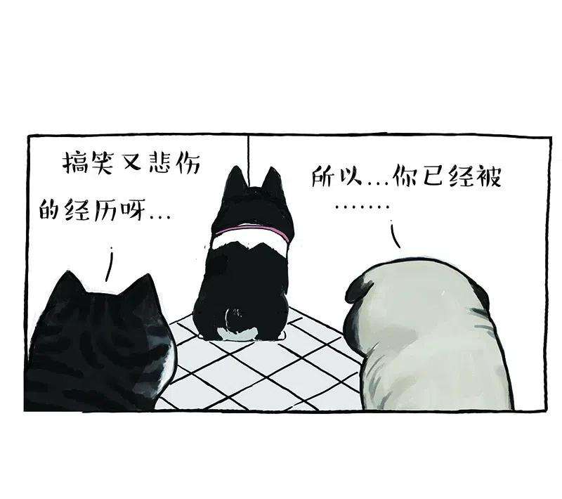 65.jpg