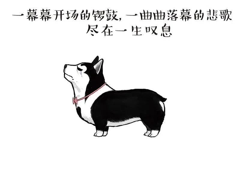 87.jpg