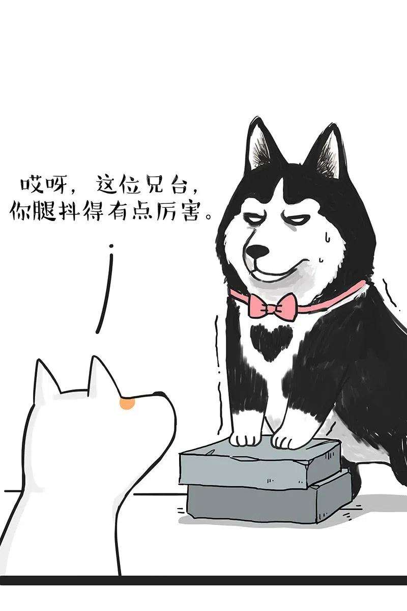23.jpg