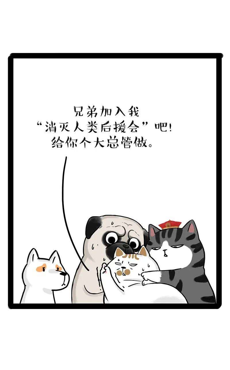 62.jpg