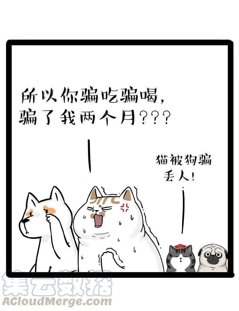54.jpg