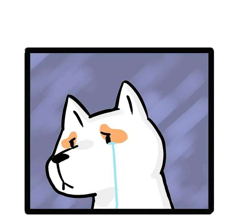 48.jpg