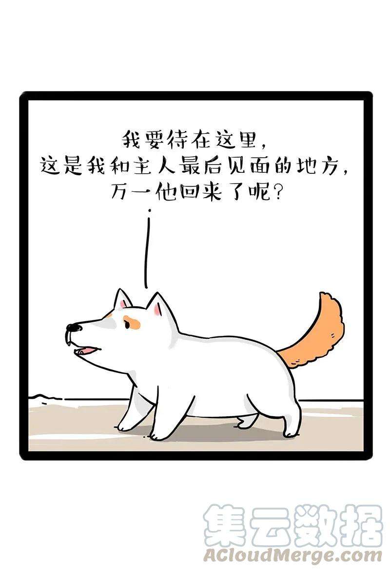 60.jpg