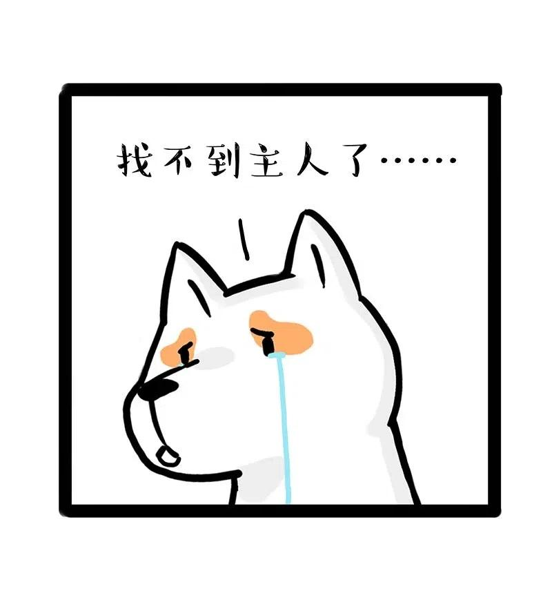 53.jpg