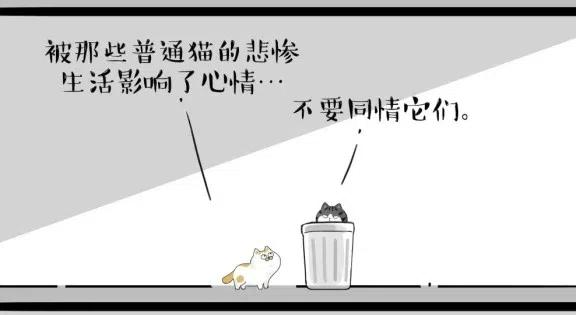 80.jpg