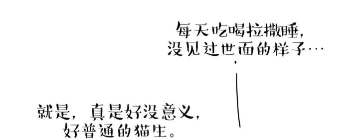 63.jpg