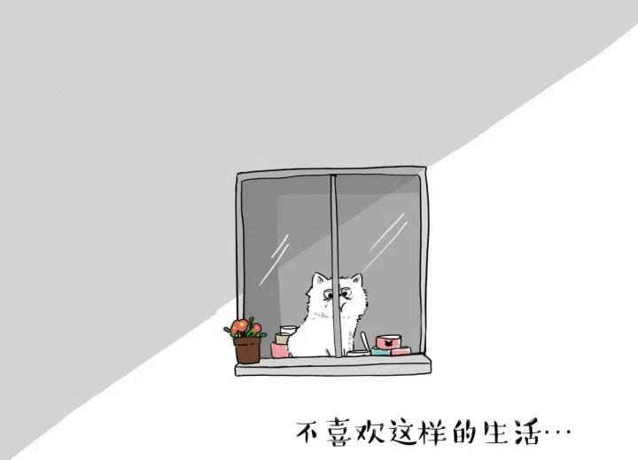 59.jpg