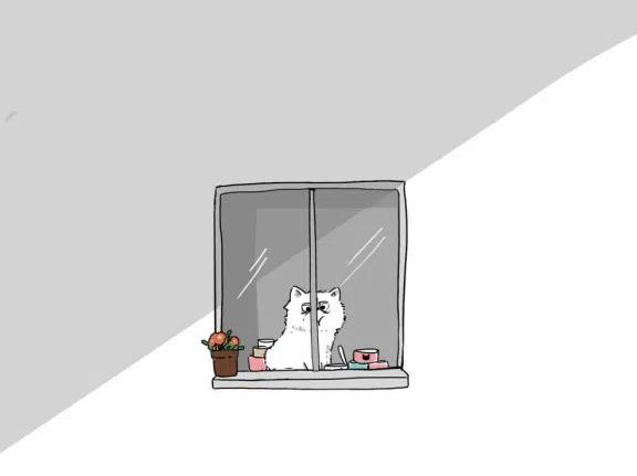 72.jpg