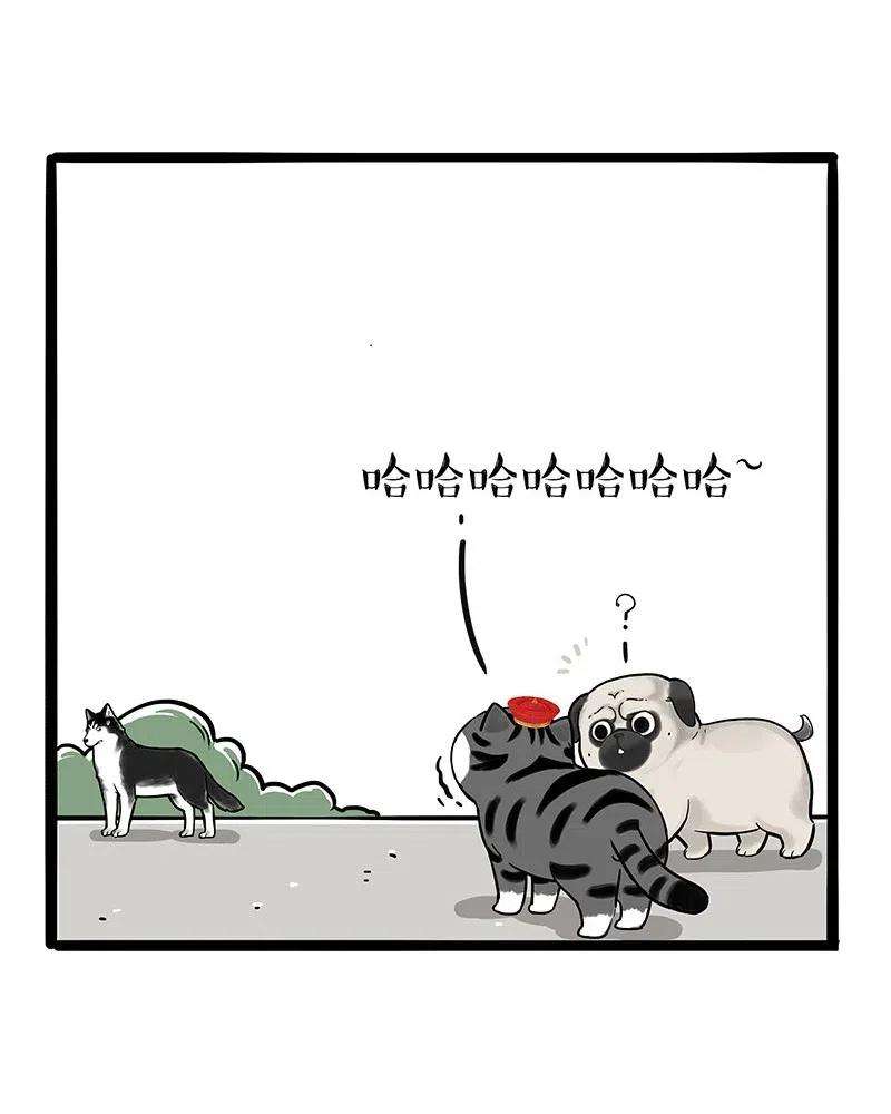 45.jpg