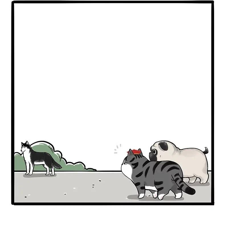 44.jpg
