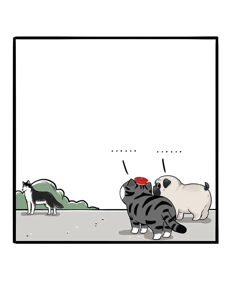 48.jpg