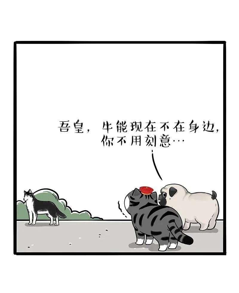 47.jpg