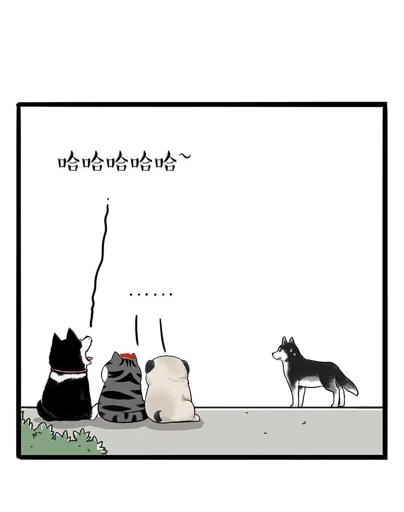 36.jpg