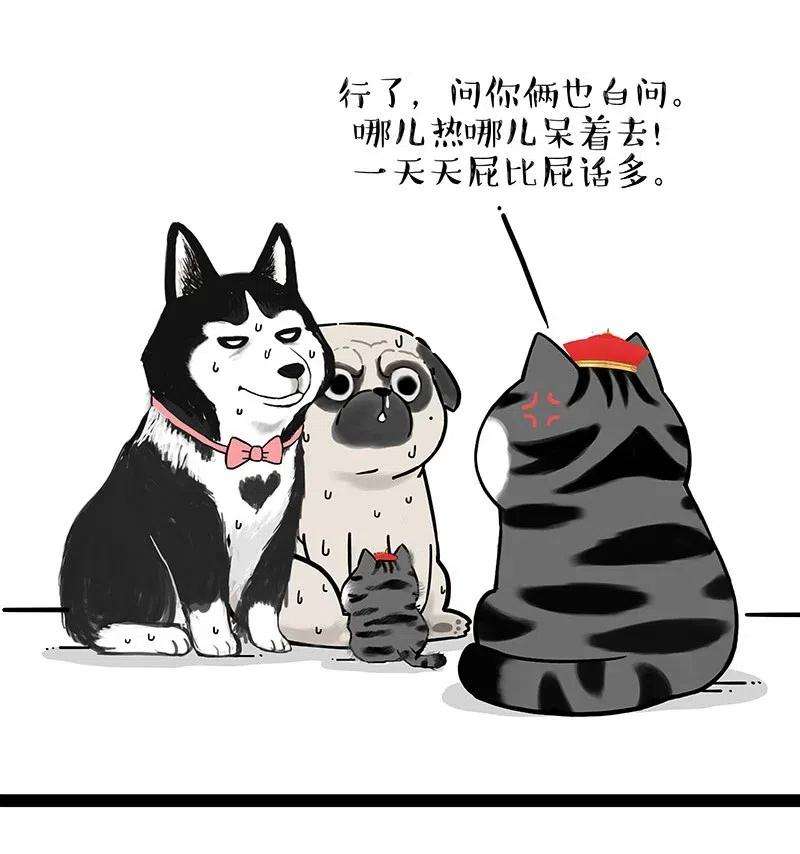 35.jpg