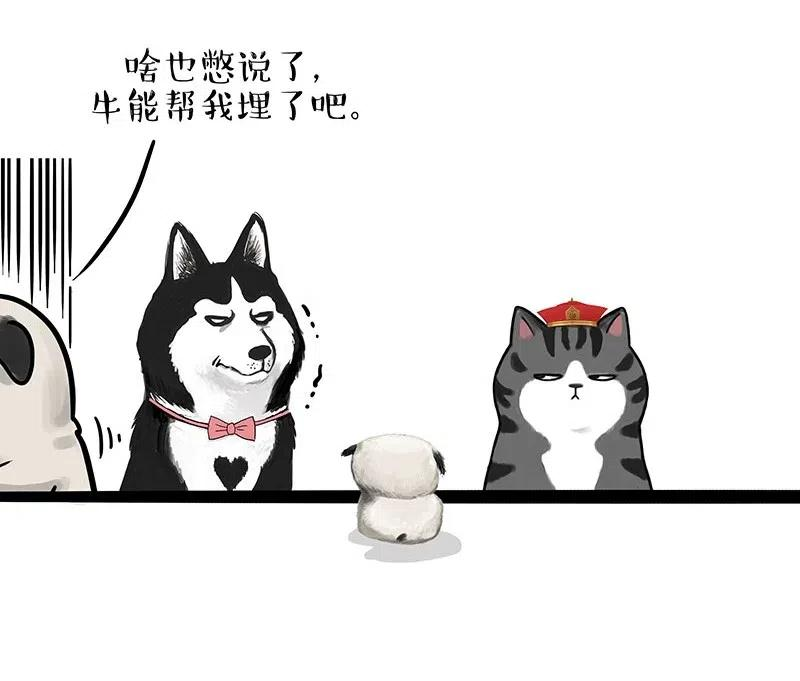 51.jpg