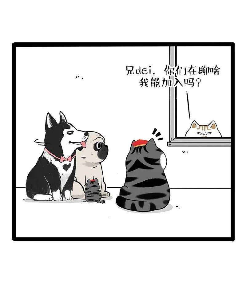 36.jpg