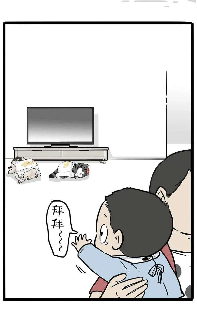 41.jpg