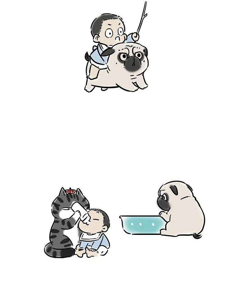 32.jpg