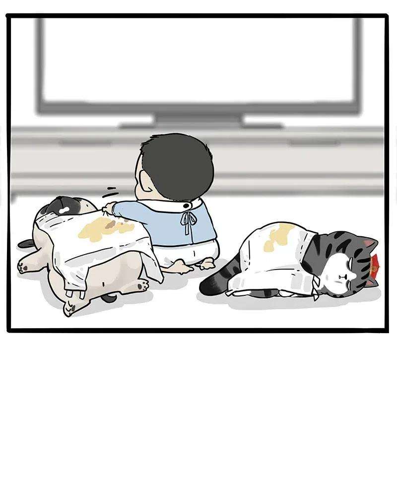38.jpg