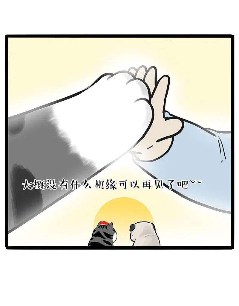 45.jpg