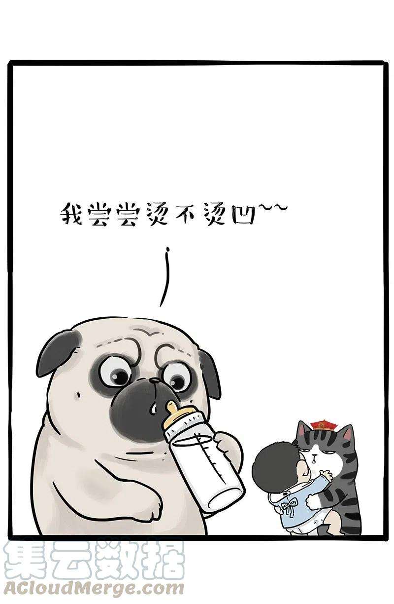 28.jpg