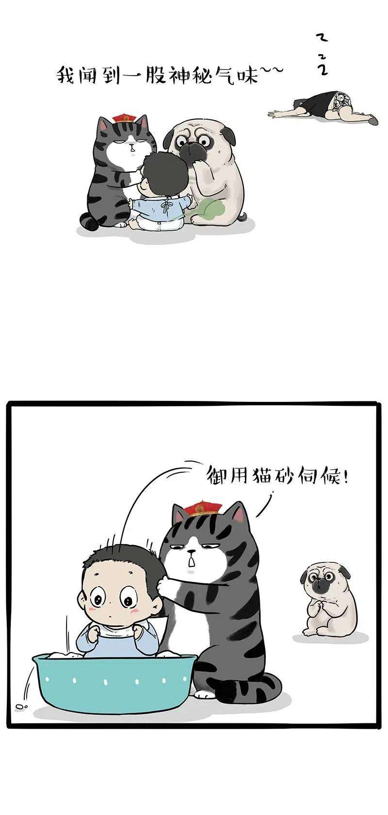 20.jpg
