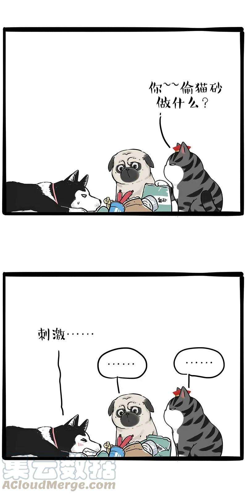 19.jpg