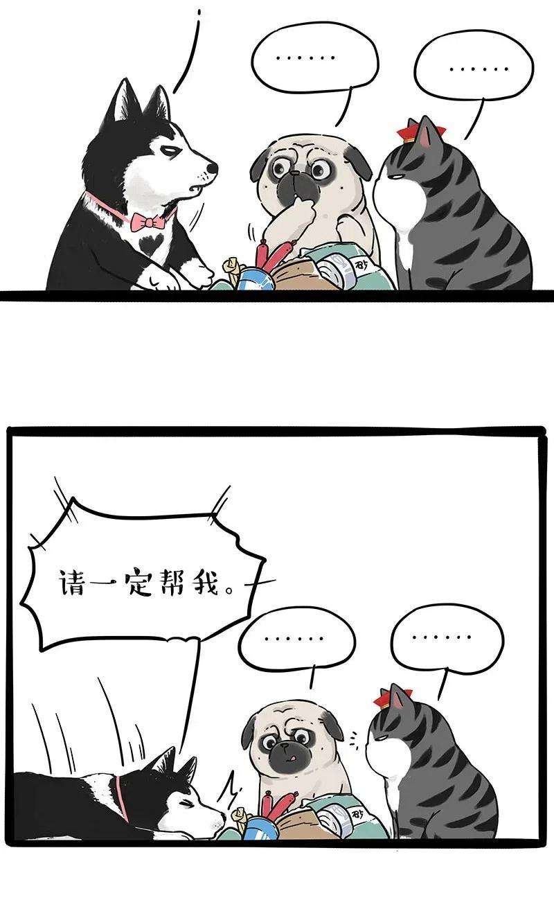 18.jpg