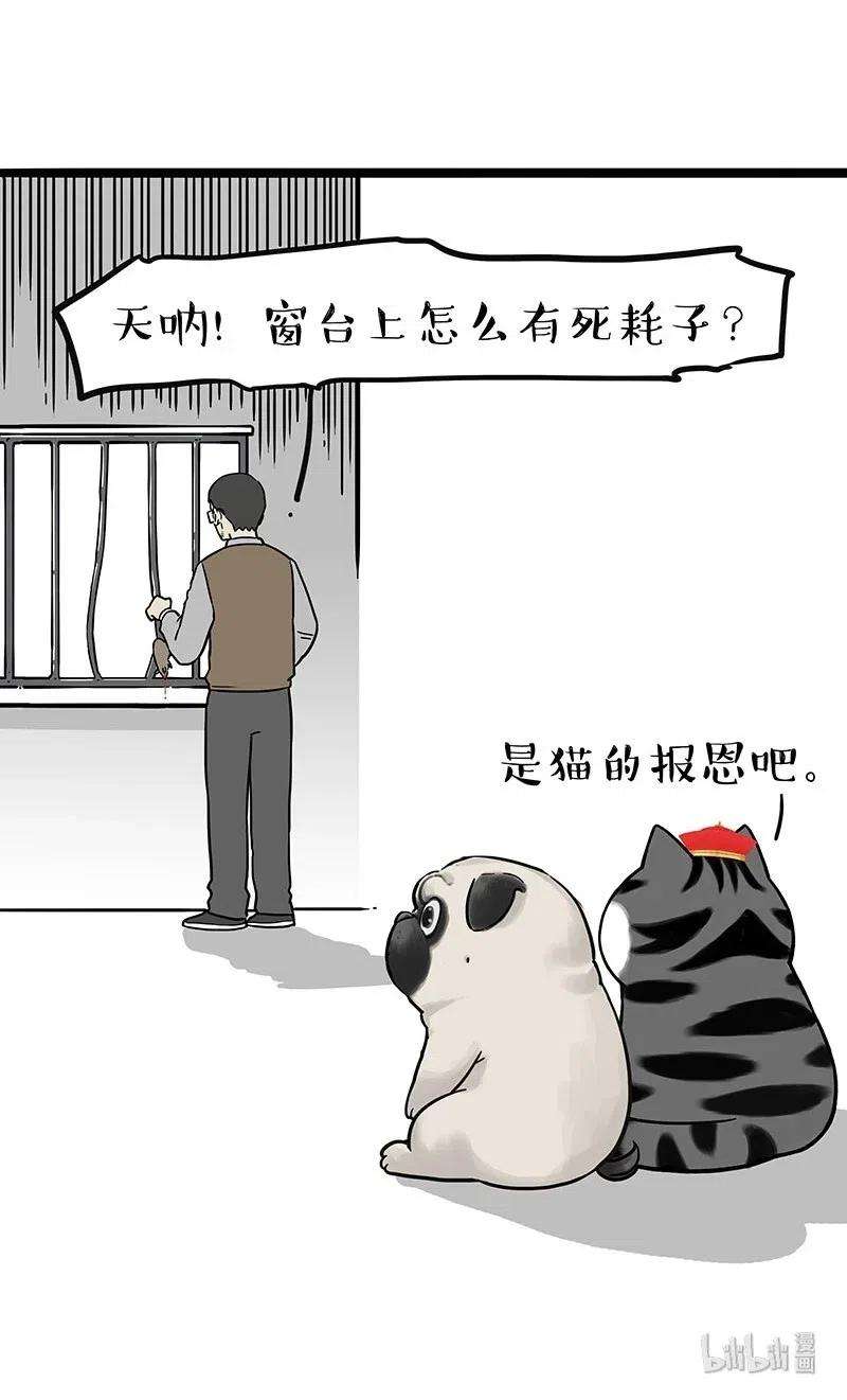 32.jpg