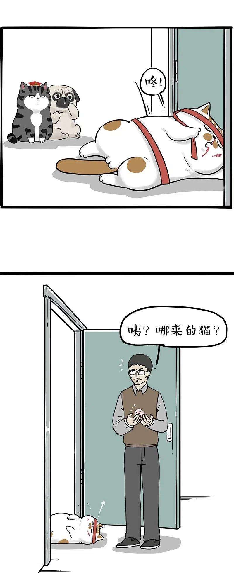 26.jpg