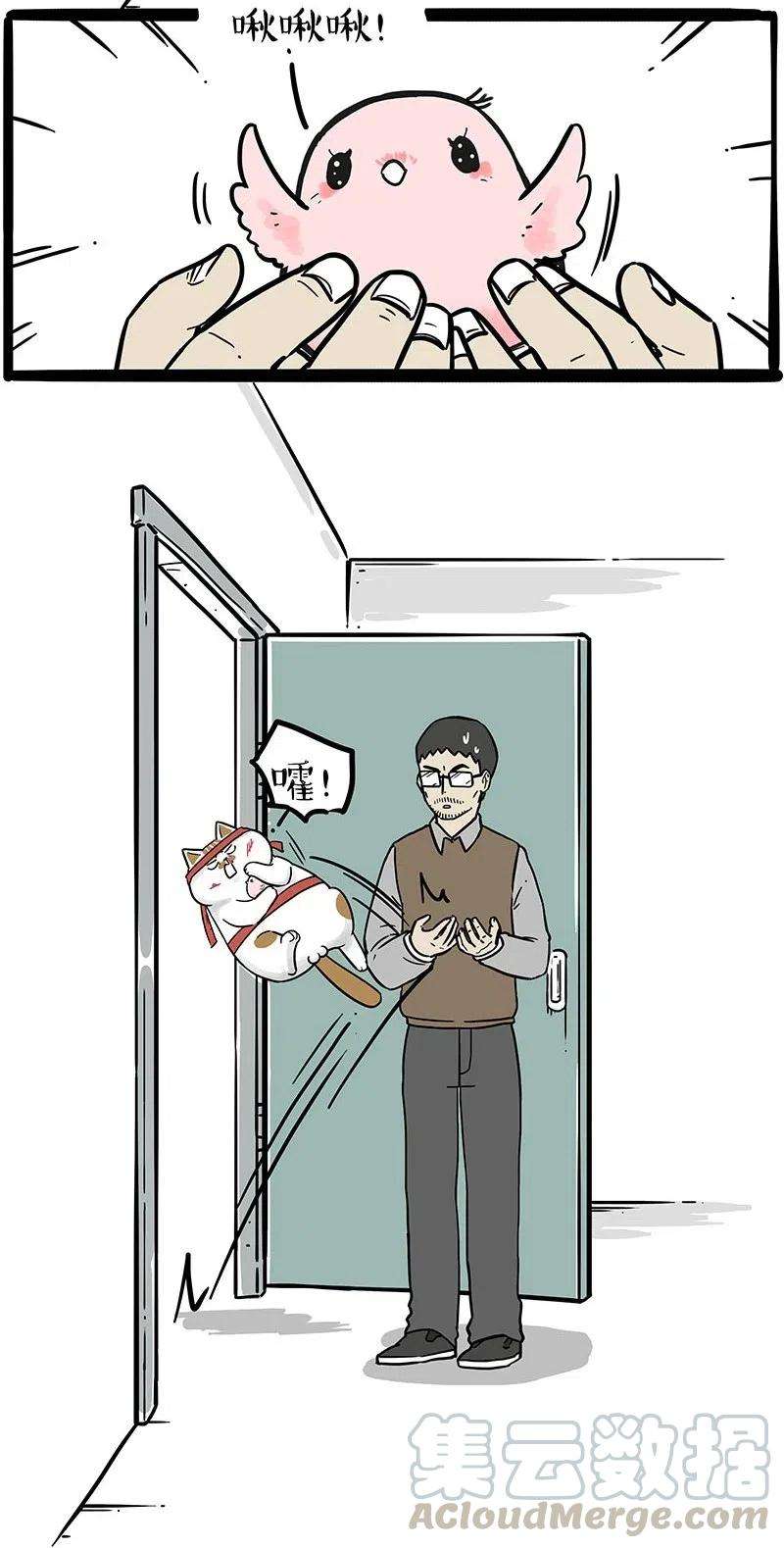 27.jpg